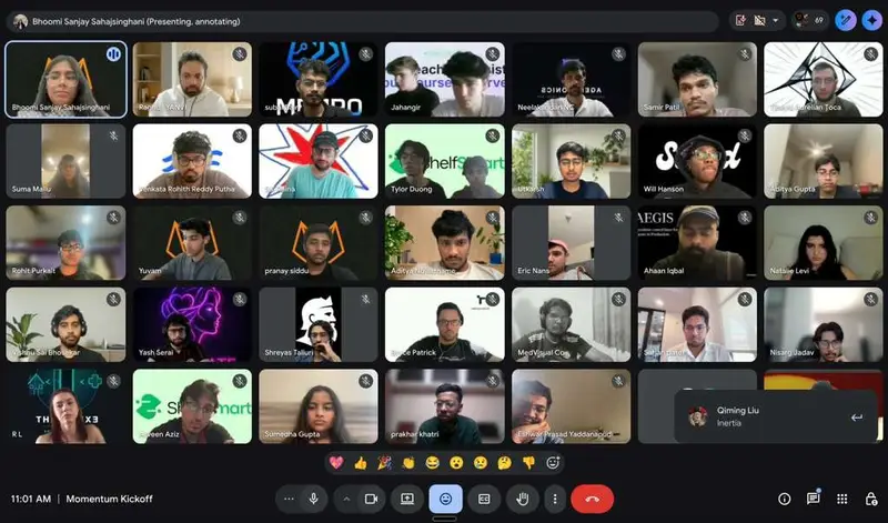 Devlabs Momentum kickoff call with Yanvi participating